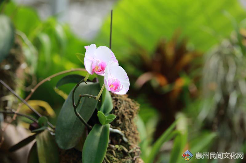 20150627093.jpg