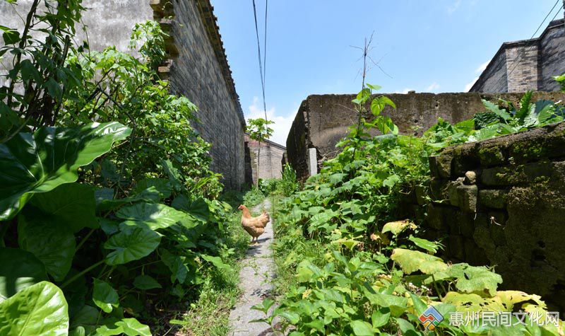 DSC_3058.jpg