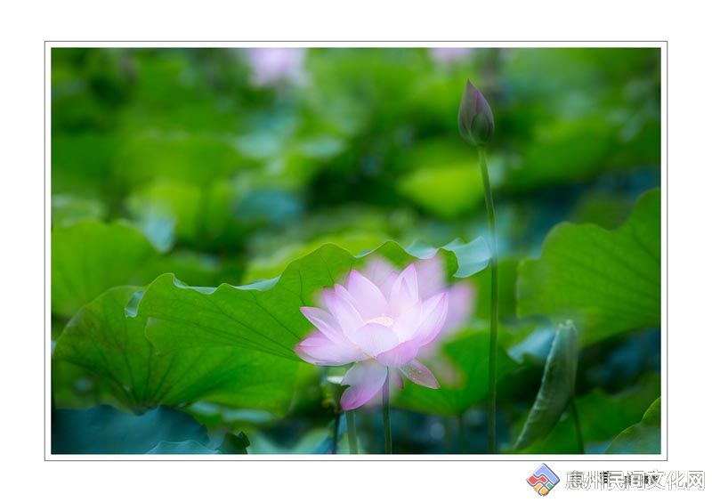 QQͼƬ20150516223915.jpg