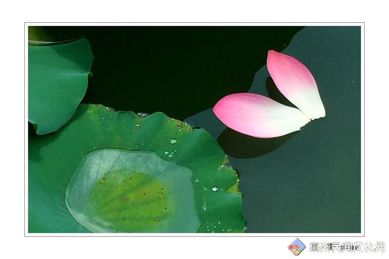 QQͼƬ20150516223939.jpg