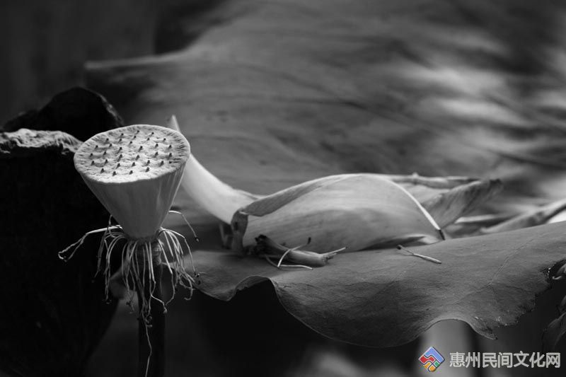 IMG_3023 (3).jpg