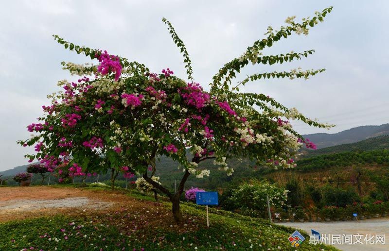 QQͼƬ20151117200209.jpg