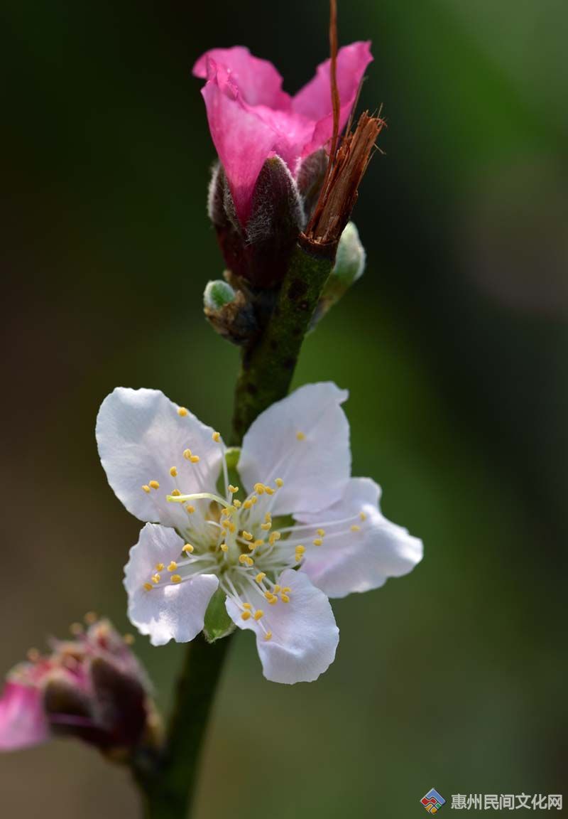 DSC_5643_.jpg