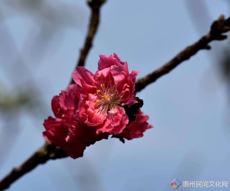 DSC_5654_.jpg