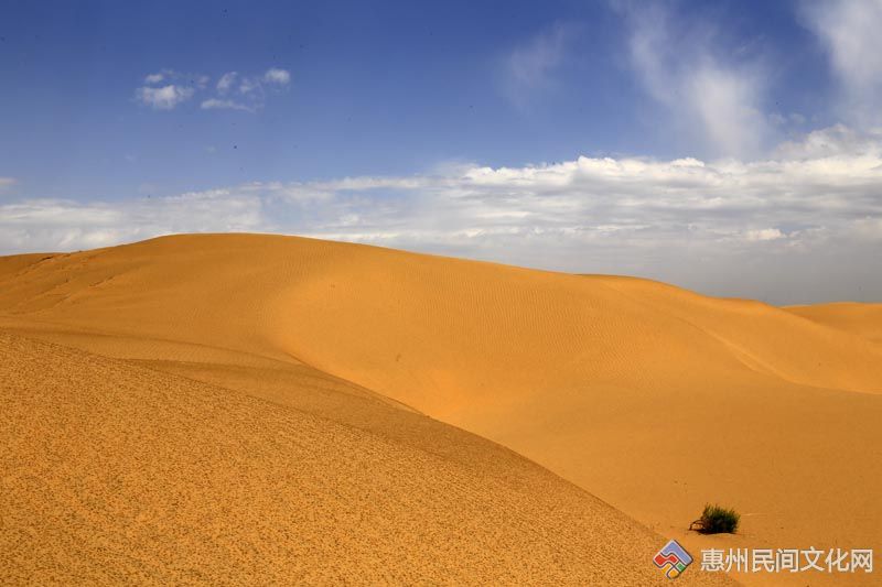 _MG_5130.jpg