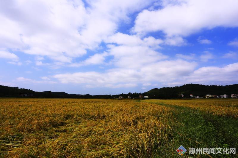 _MG_0574.jpg