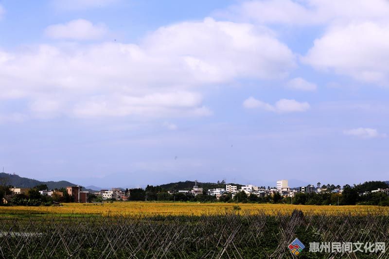 _MG_0540.jpg