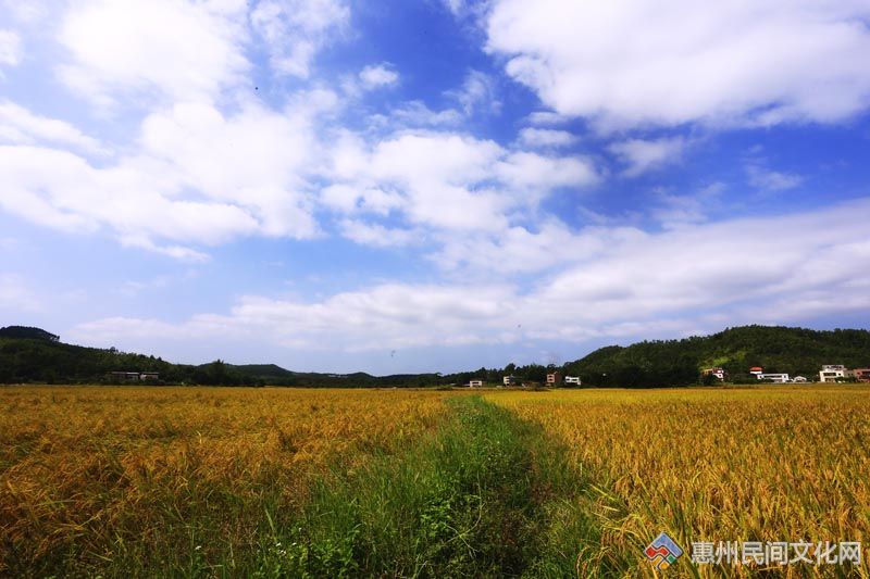 _MG_0610.jpg