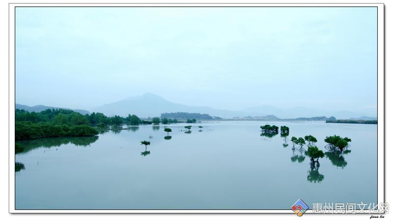 nEO_IMG_-“DSC_7039.jpg