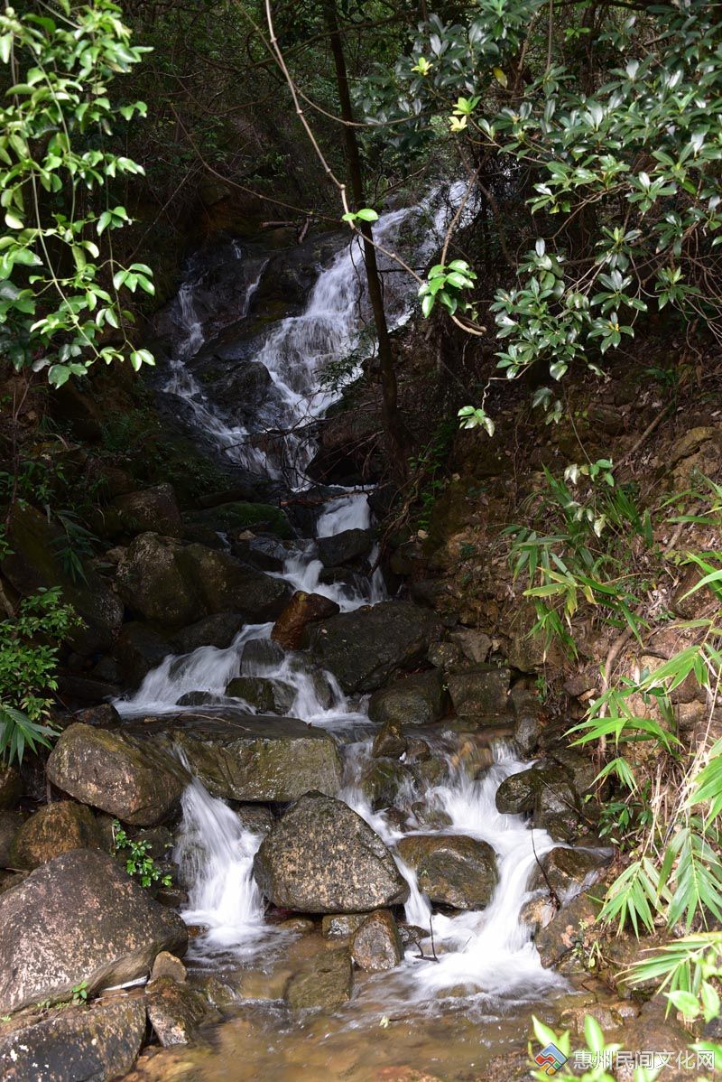 DSC_2008_.jpg