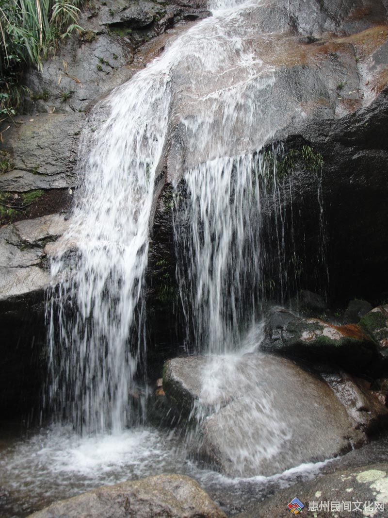 DSC08728.jpg
