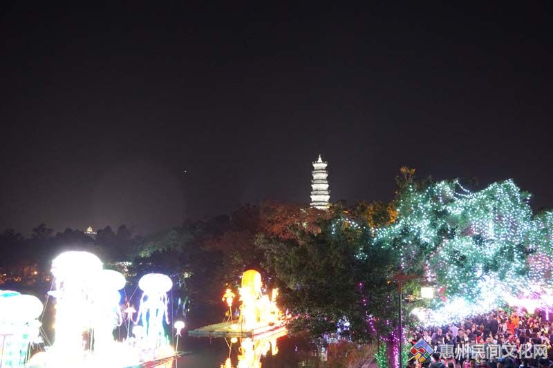 DSC02031.jpg