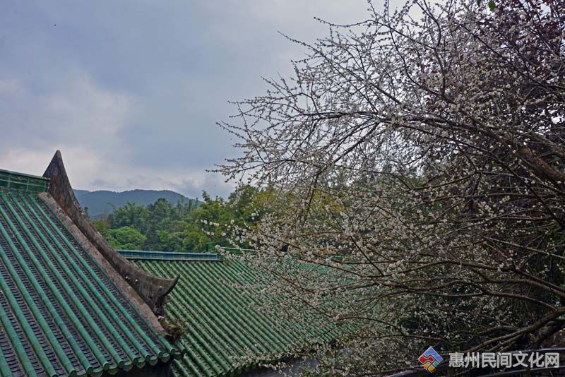 DSC_0149.jpg