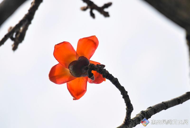 _DSC0096.jpg