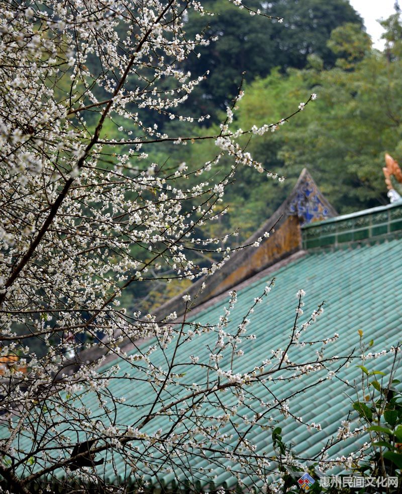 DSC_4038_.jpg