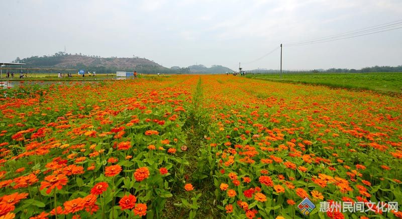 DSC_2977_.jpg