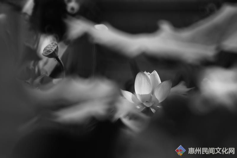 _MG_3296.jpg