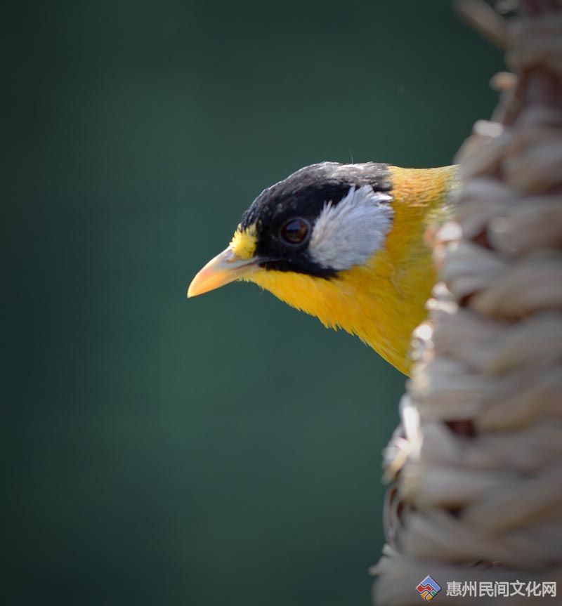 DSC_8952_.jpg
