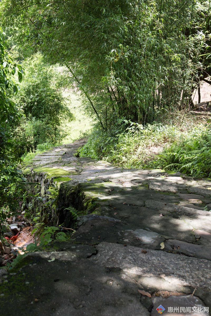EW9A8198.jpg