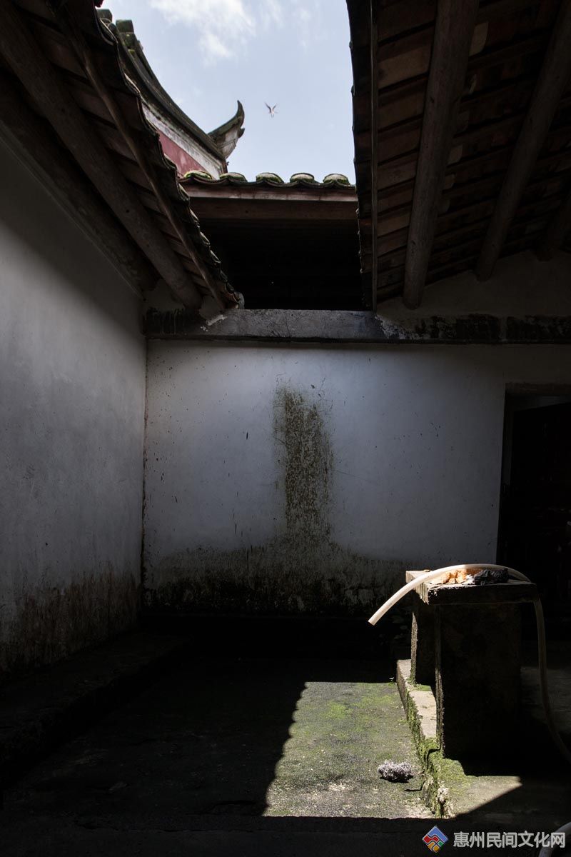 EW9A8174.jpg