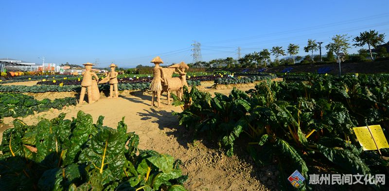DSC_4438_.jpg