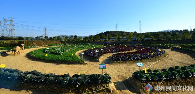 DSC_4440_.jpg