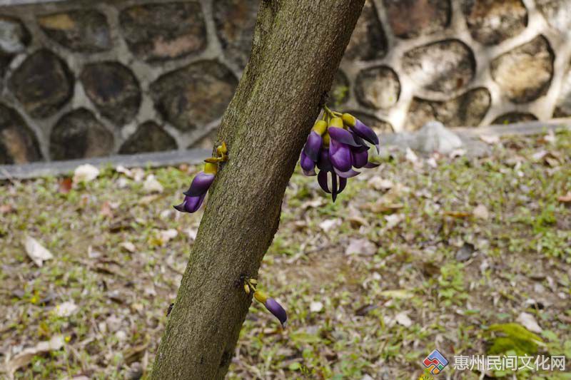 L1750346.jpg