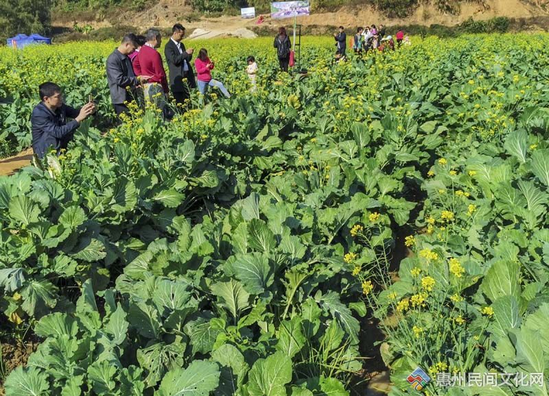 IMG_20191228_104846m.jpg