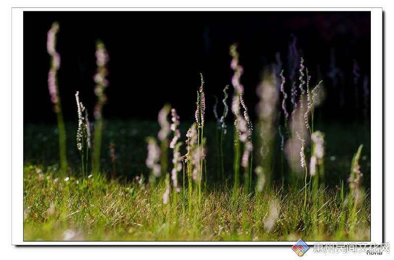 nEO_IMG_緲-“DSC_0858”Ϊܶ-1.jpg