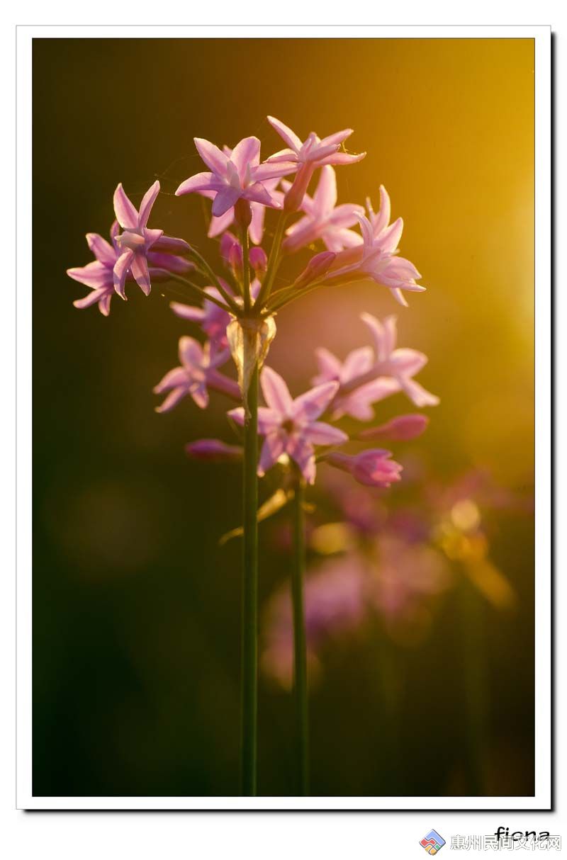 nEO_IMG_ɫ-“DSC_2289”Ϊܶ-1.jpg